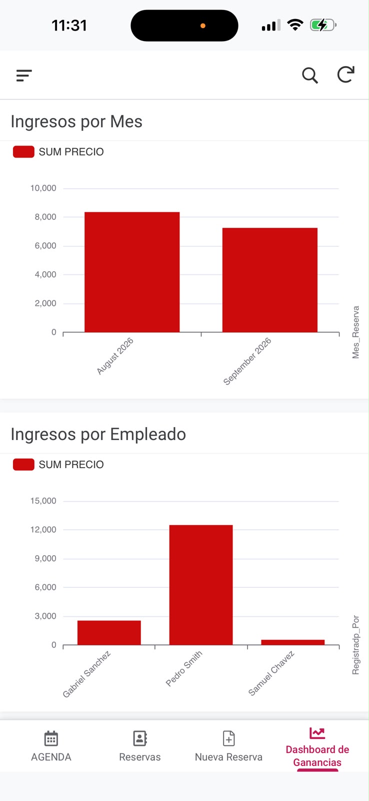 Ingresos por mes y empleado